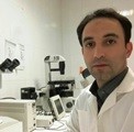 Mojtaba Ehsanifar