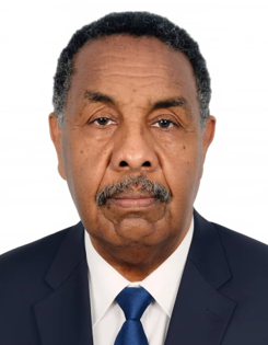 Adil Mahgoub Musa Mohamed